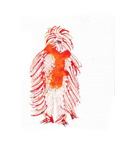 yeti